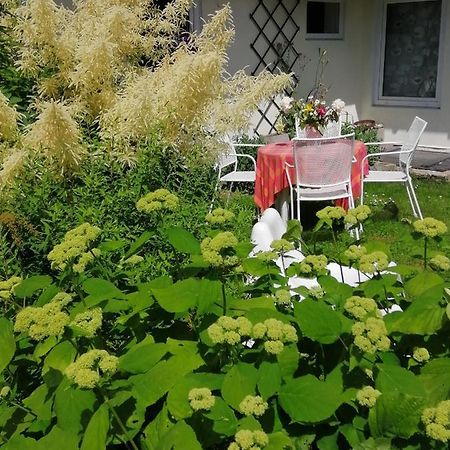 Willa Secret Garden House In The Center Of Sigulda Zewnętrze zdjęcie