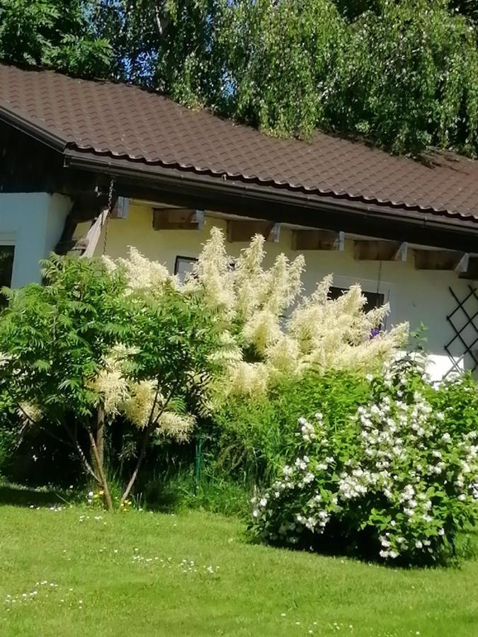 Willa Secret Garden House In The Center Of Sigulda Zewnętrze zdjęcie